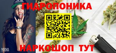 дурь Дубна