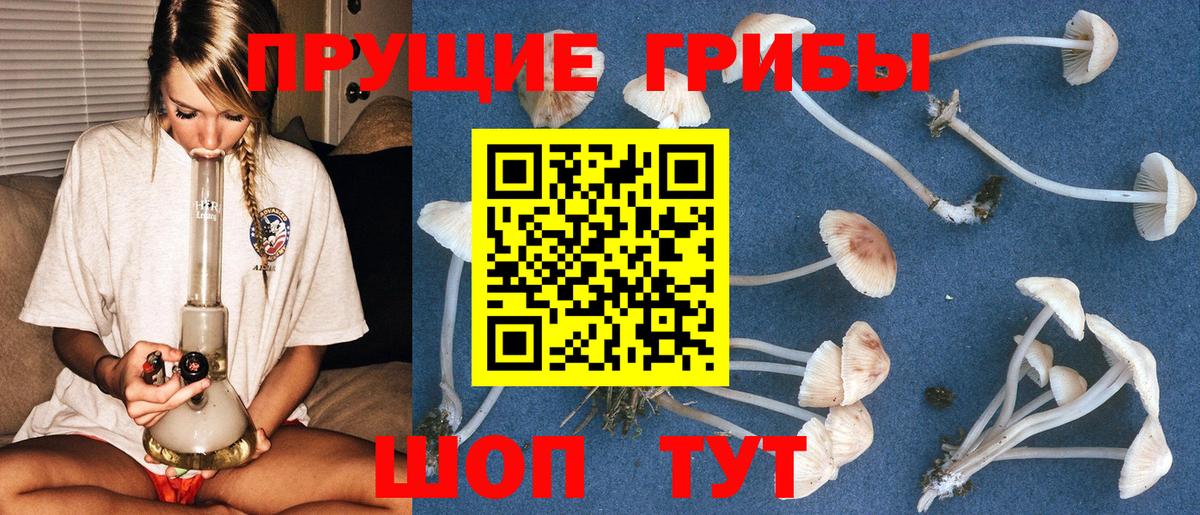 Лысьва  Псилоцибиновые грибы GOLDEN TEACHER  где найти   Вход с VPN  Псилоцибиновые грибы Cubensis 